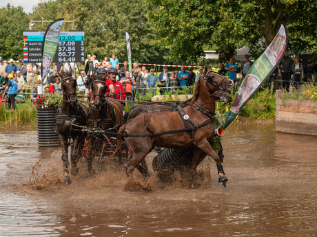 EK VIERSPANNEN EN WK PARAMENNEN 2023 IN EXLOO