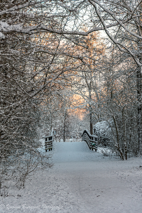 zonsopkomst inde winter