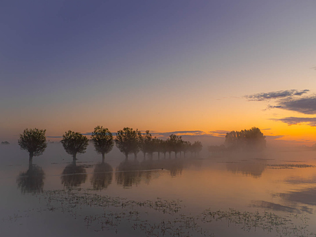 Kleurrijke ochtendmist over het water
