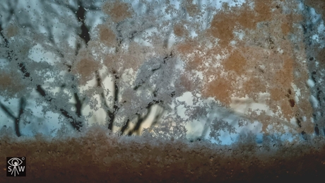 HO HO HO... Let it Snow...