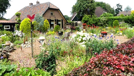 P1250370   Fietsrondje  Voorthuizen Garderen Putten  Voorthuizen 9 juli 2024 