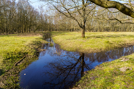 Twee kanten op