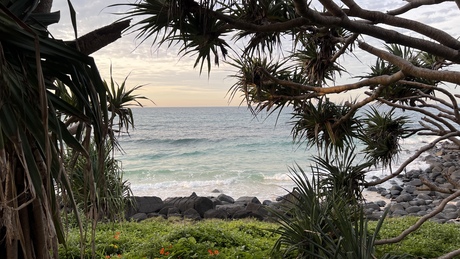 Surfers Paradise - Australië