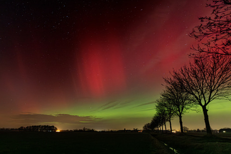 Feestje voor het oog!