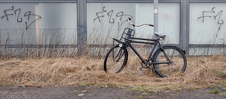 The lonely bicycle