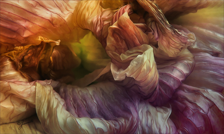 abstracte natuur........