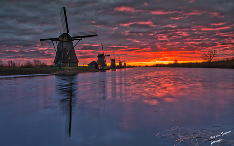 Eindelijk weer wat kleur