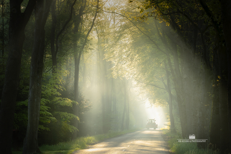 Zonneharpen in het bos bij Spier – Voorbijrijdende tractor