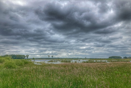 Dwingelderveld