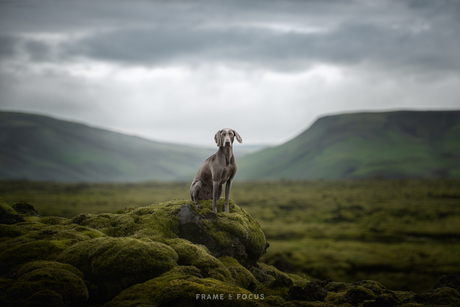 Lady on the rocks