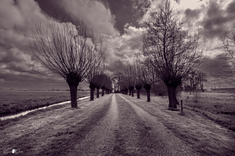 Driveway to the farm