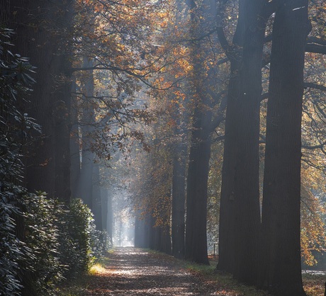Op weg naar het licht...