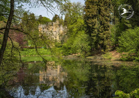 Het kasteel van Beaufort, verborgen in het goren van de lente