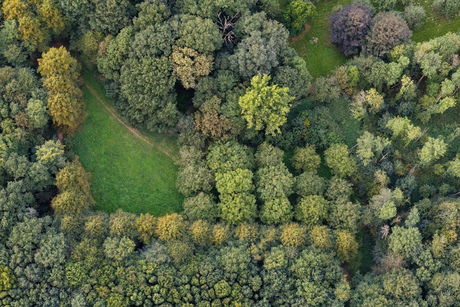 Verkleuring is begonnen!