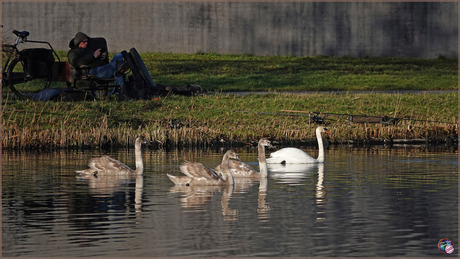 Naast elkaar leven …