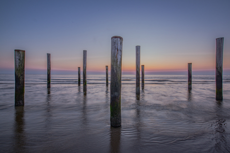 Palendorp Petten