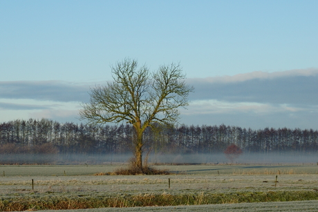Optrekkende mist