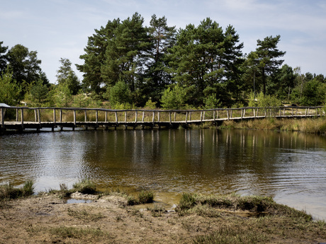 Bron van de rode beek