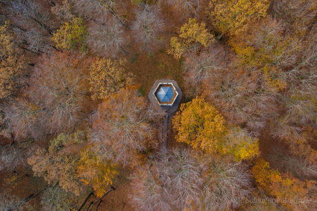 Prieel in een herfstbos