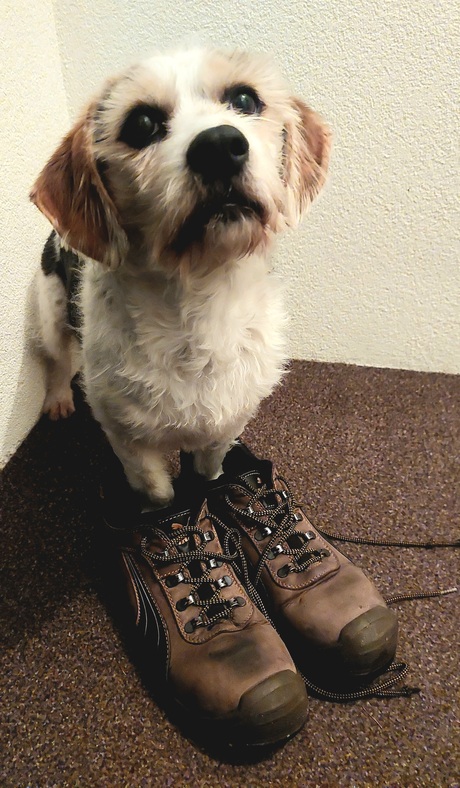 Zo ik ben er klaar voor 💪