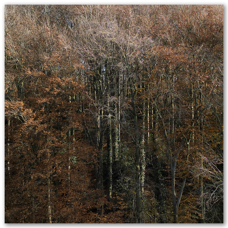 Herfst