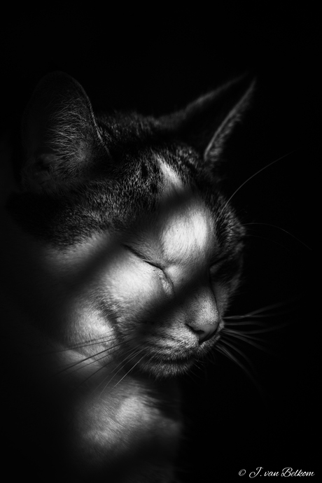 Lekker genieten van de zon!