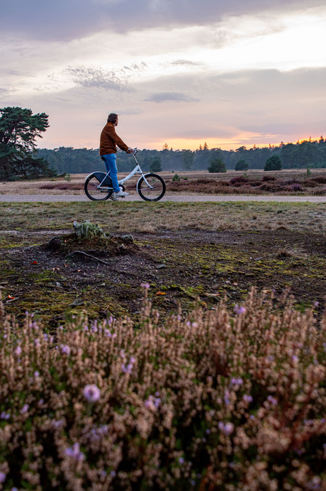 Fietsen met zonsondergang op de Veluwe
