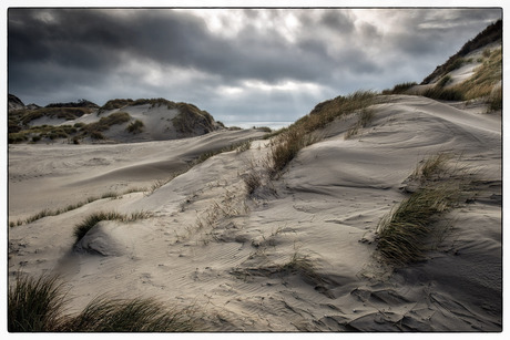 Duinen