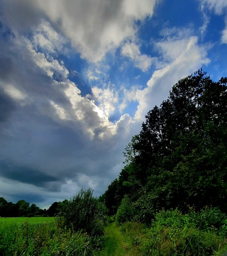 Wolken boven het weiland 