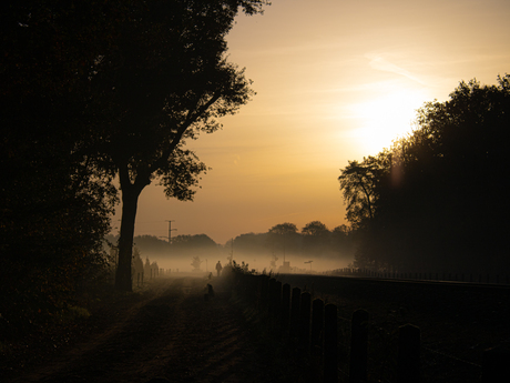 Mistige zonsopkomst