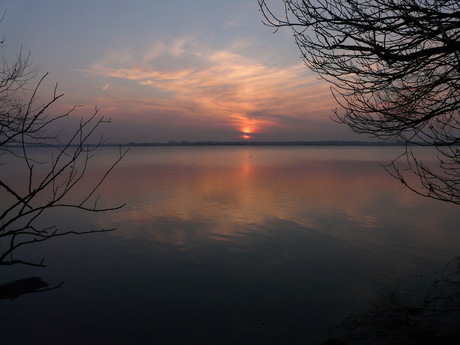 Uit het archief 2010,