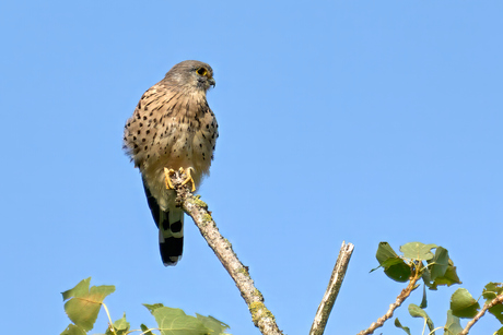 Weekend in zicht !!!!