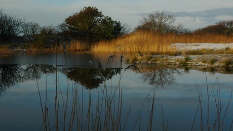 Heerlijke stilte in de natuur
