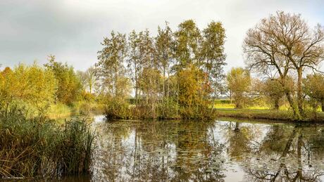 Vennetje in de herfst