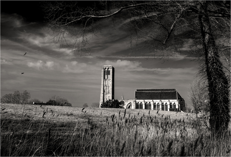 Damme [262]