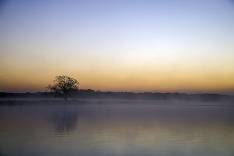 Mist aan de Maas