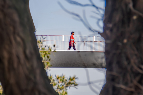 Zicht op de Hoeg Brögk 