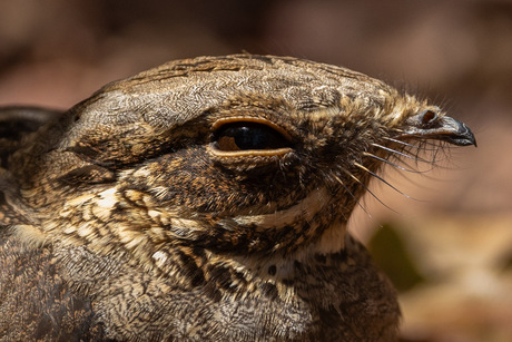 Altijd opletten waar...