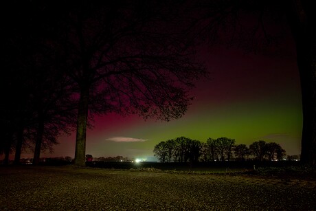 Noorderlicht in het Zuiden