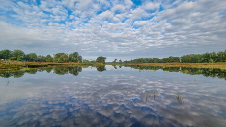 spiegeltje