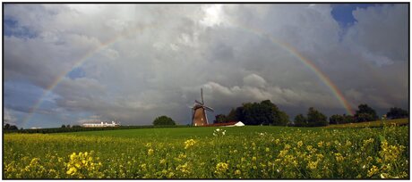 Regenboog 