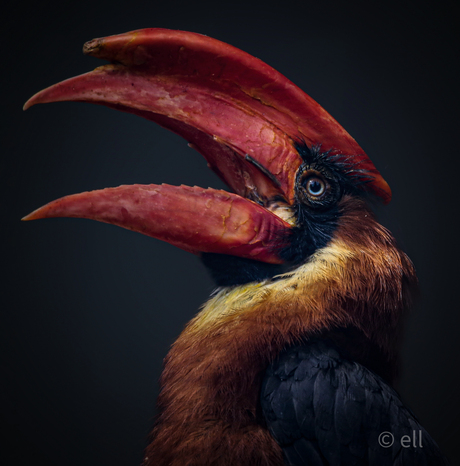 Pure schoonheid van moeder natuur…