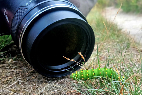 Tussen twee Nikon-lenzen