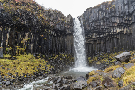 Svartifoss