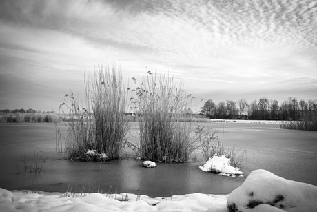 Winter in zwart-wit 