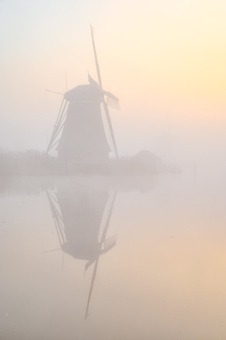 Mist