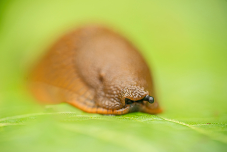 I like to move it...