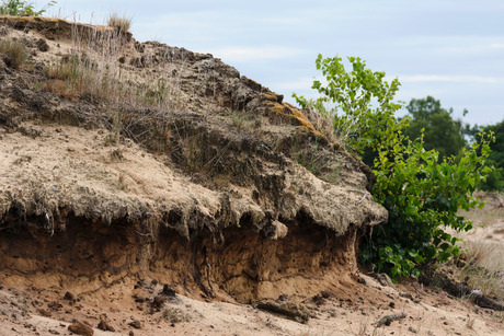 Landschap