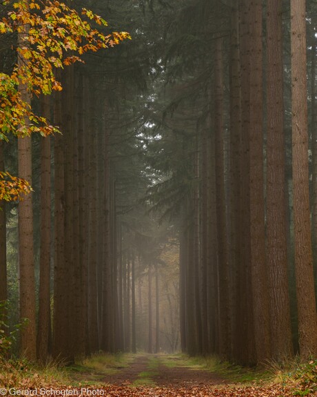 Corridor