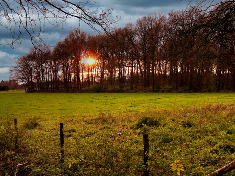 Uit het archief 2010